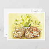 ポストカードキッズアートビアトリックスポッター30 ポストカード (正面/裏面)