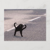 ポストカードキュードキャットミーム ポストカード (正面)