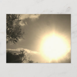 ポストカードサンシャインスタイルデザイン ポストカード