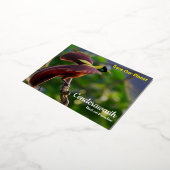 ポストカードセンデラワシ 箔シーズンポストカード (回転した状態)