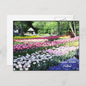 ポストカードテンプレート、フローラガーデン ポストカード (正面/裏面)