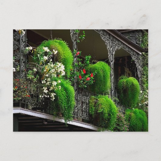 ポストカードニューオーリンズフランスの- Quarter USA ポストカード (正面)