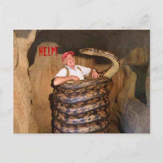 ポストカードビッグスネークQLDオーストラリア ポストカード (正面)