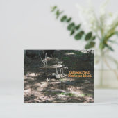 ポストカードフェアリーハウスガーデンオンモンヘガンアイランド ポストカード (スタンド正面)