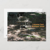 ポストカードフェアリーハウスガーデンオンモンヘガンアイランド ポストカード (正面/裏面)