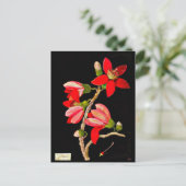 ポストカードボタニカルアートメアリーデラニー10 ポストカード (スタンド正面)