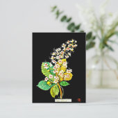 ポストカードボタニカルアートメアリーデラニー11 ポストカード (スタンド正面)