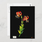 ポストカードボタニカルアートメアリーデラニー12 ポストカード (正面/裏面)