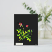 ポストカードボタニカルアートメアリーデラニー15 ポストカード (スタンド正面)