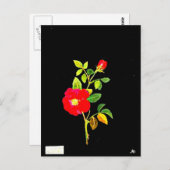 ポストカードボタニカルアートメアリーデラニー16 ポストカード (正面/裏面)