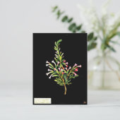 ポストカードボタニカルアートメアリーデラニー20 ポストカード (スタンド正面)