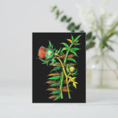 ポストカードボタニカルアートメアリーデラニー6 ポストカード (スタンド正面)