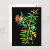 ポストカードボタニカルアートメアリーデラニー6 ポストカード (正面/裏面)