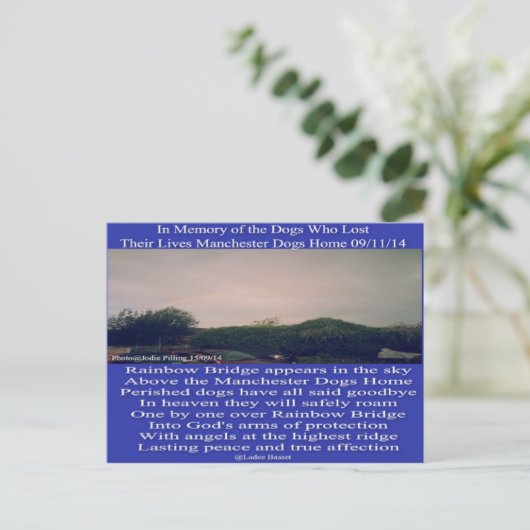 ポストカードマンチェスター虹の詩 ポストカード (スタンド正面)