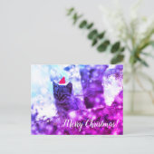 ポストカードメリークリスマス子猫 シーズンポストカード (スタンド正面)