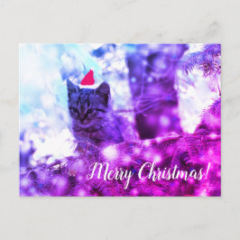 ポストカードメリークリスマス子猫 シーズンポストカード