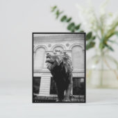 ポストカードラブアートハウスダウンタウン8 ポストカード (スタンド正面)