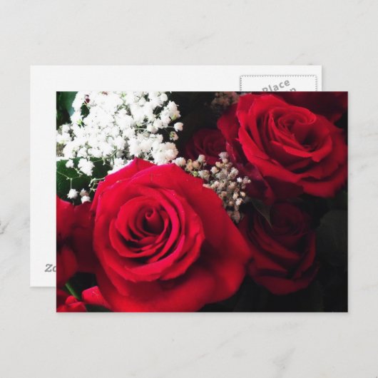 ポストカードレッドローゼベビーズブレスブーケ空白のPC ポストカード (正面/裏面)