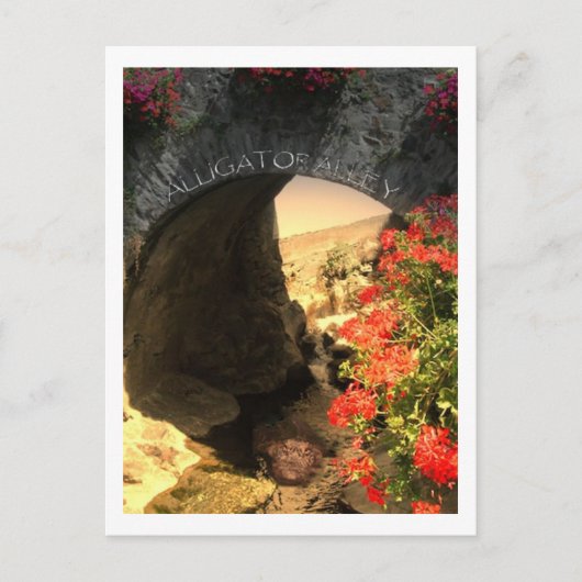 ポストカードワニ路 ポストカード (正面)