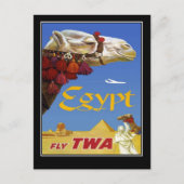 ポストカードヴィンテージ旅行エジプトカメル ポストカード (正面)