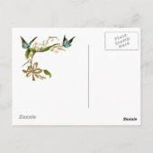 ポストカードヴィンテージ蝶ティール（緑がかった色） ポストカード (裏面)