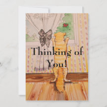 ポストカード子猫