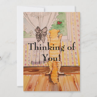 ポストカード子猫 招待状