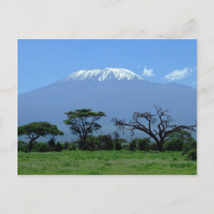 ポストカード山Kilimanjaro ポストカード