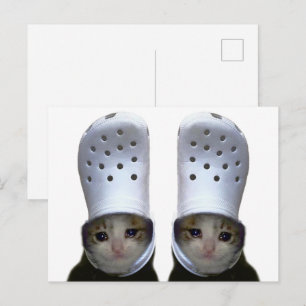 ポストカード泣き叫びキャットクロクハットミーム ポストカード