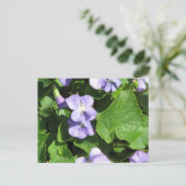 ポストカード用水平テンプレート - カスタマイズ済み ポストカード (スタンド正面)