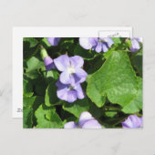 ポストカード用水平テンプレート - カスタマイズ済み ポストカード (正面/裏面)