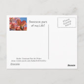 ポストカード私の母の甘い人生DOGWOODの花 ポストカード (裏面)