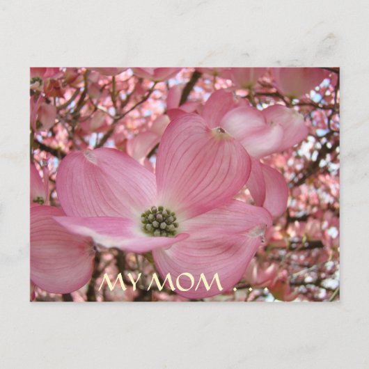 ポストカード私の母の甘い人生DOGWOODの花 ポストカード (正面)
