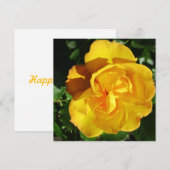 ポストカード (正面/裏面)