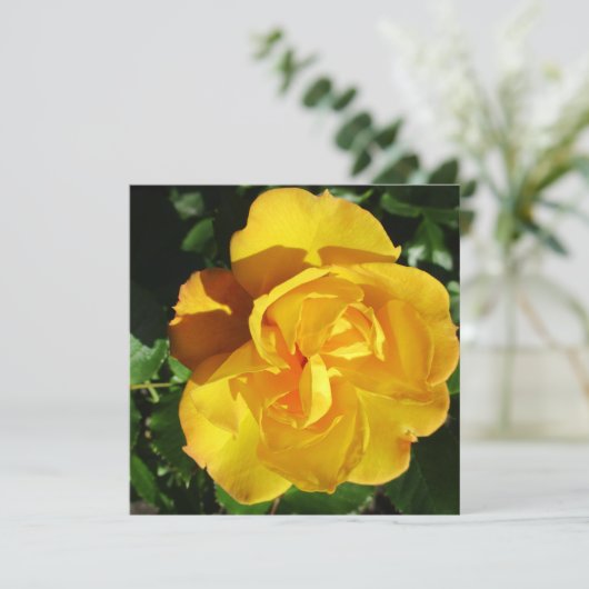 ポストカード (スタンド正面)