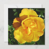 ポストカード (正面)