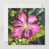 ポストカード (正面)