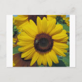 ポストカード (正面)