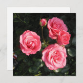 ポストカード (正面/裏面)