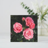 ポストカード (スタンド正面)