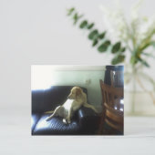  ポストカード (スタンド正面)