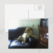  ポストカード (正面/裏面)