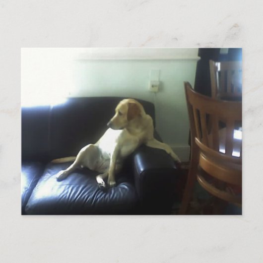  ポストカード (正面)