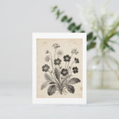 ポストカード (スタンド正面)