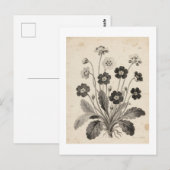 ポストカード (正面/裏面)