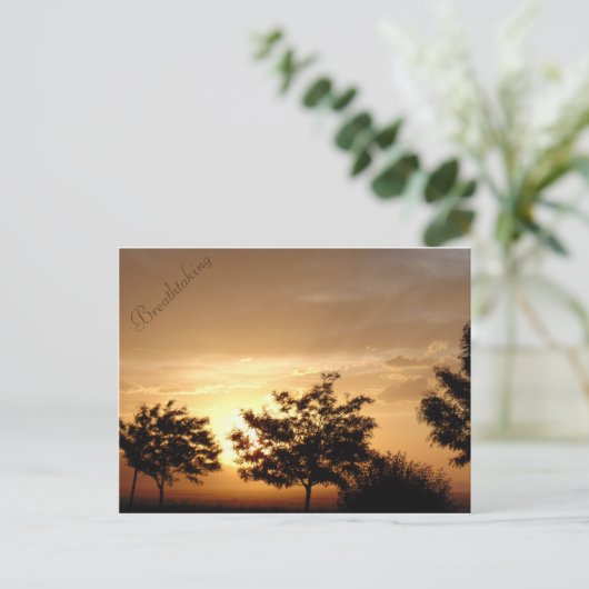 ポストカード (スタンド正面)