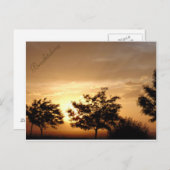 ポストカード (正面/裏面)