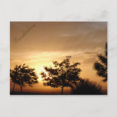 ポストカード (正面)