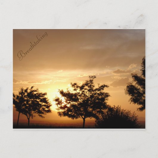 ポストカード (正面)