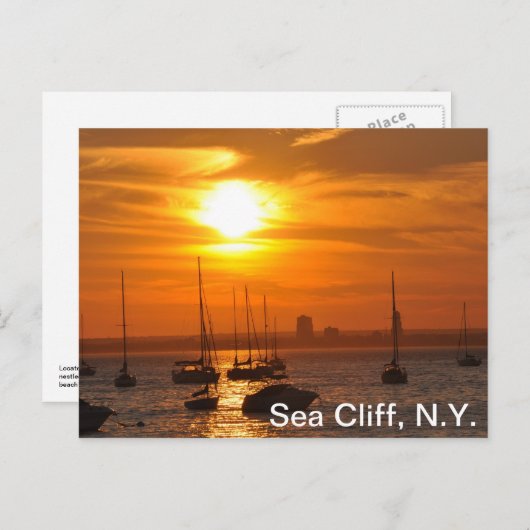 ポストカード (正面/裏面)